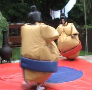 Sumo Suit Hire Southampton, Bournemouth, Basingstoke, Winchester, Salisbury, Portsmouth, Fareham, Gosport TEL: 07306050048